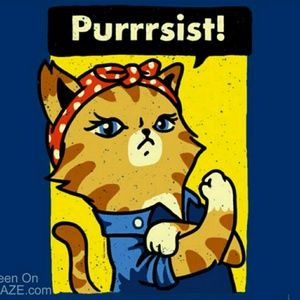 Meet your Posher, Morning